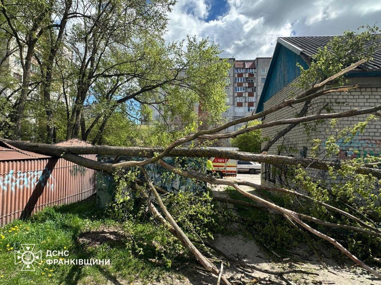На Прикарпатті енергетики після негоди відновили електропостачання для більшості споживачів