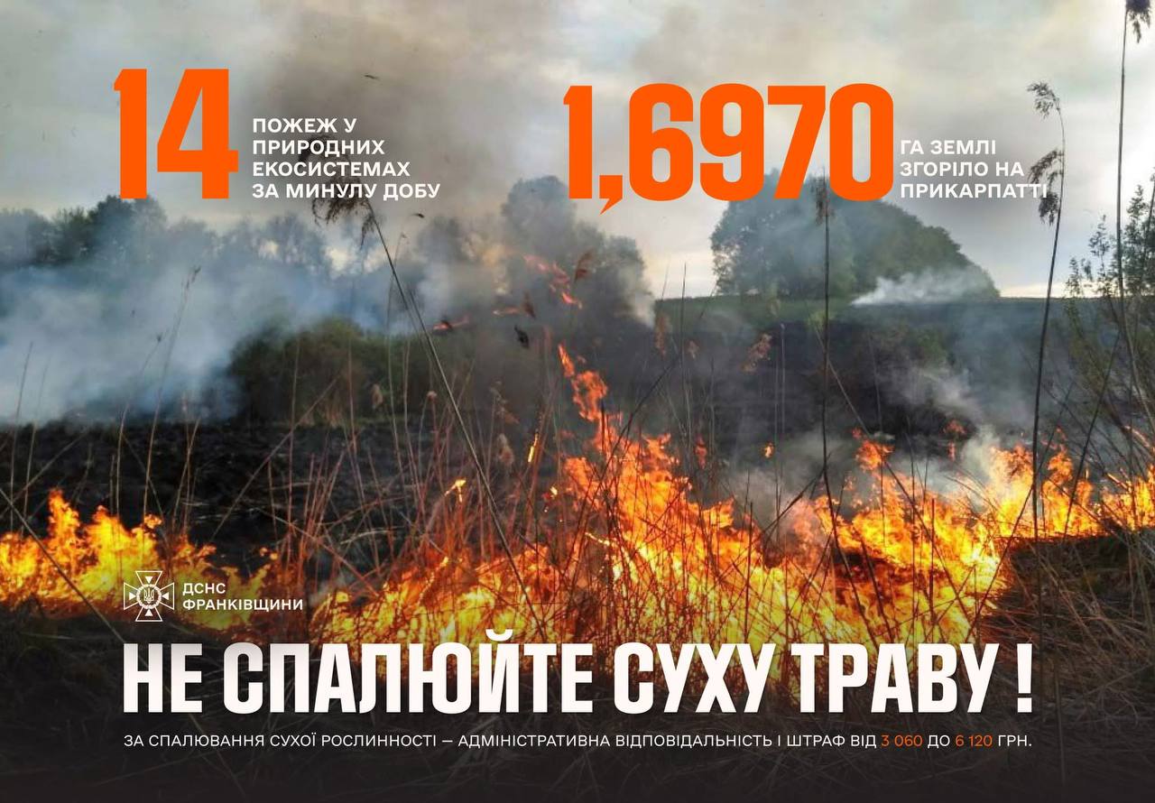 За добу на Прикарпатті сталося 14 пожеж в екосистемах: горіло лісництво на Калущині