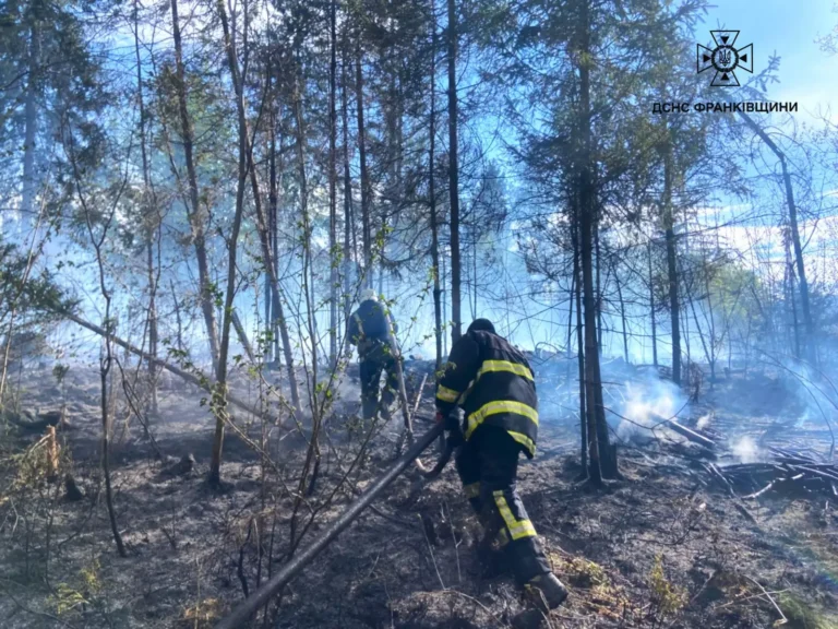 На Прикарпатті за добу ліквідували 14 пожеж в екосистемах: до відповідальності притягнули чотирьох паліїв (ФОТО)