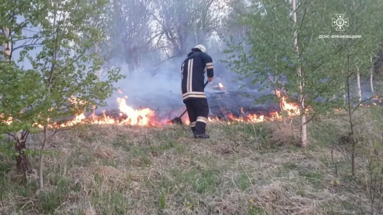 За добу на Прикарпатті ліквідували 23 пожежі в екосистемах (ФОТО)