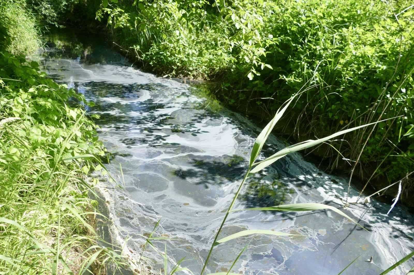 Сіро-каламутний колір та неприємний запах: у Калуші виявили забруднення річки (ФОТОФАКТ)
