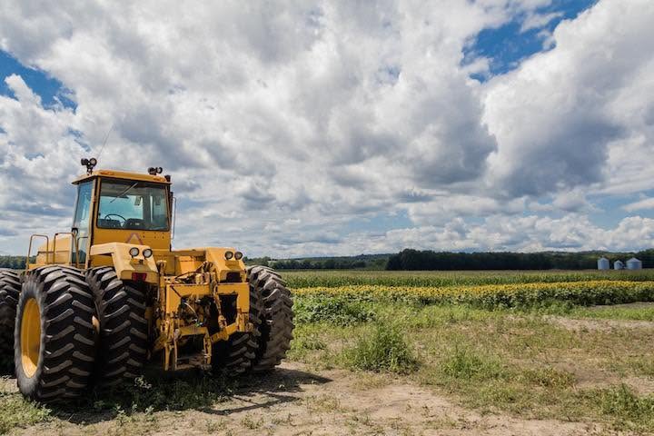 До 300 тисяч гривень: прикарпатські агровиробники можуть отримати фінансову допомогу (ДЕТАЛІ)