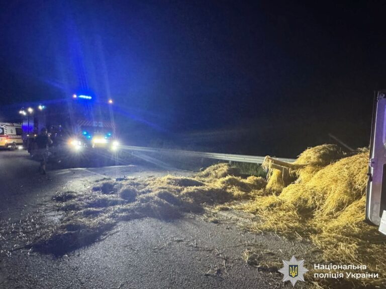 На Рогатинщині Jaguar в’їхав у гужовий віз: загинув його керманич і кінь