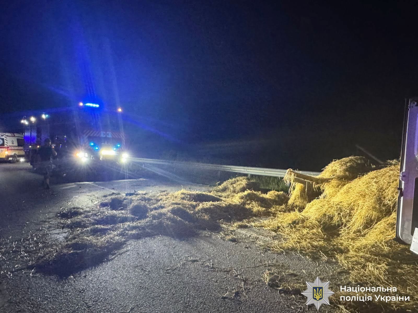 На Рогатинщині Jaguar в’їхав у гужовий віз: загинув його керманич і кінь