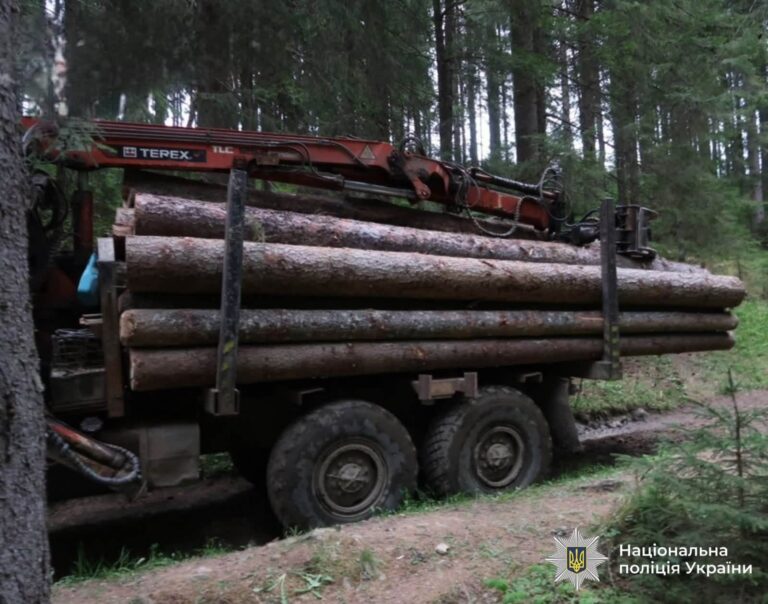 Двоє прикарпатців перевозили зрубану деревину із заповідних територій: їх судитимуть