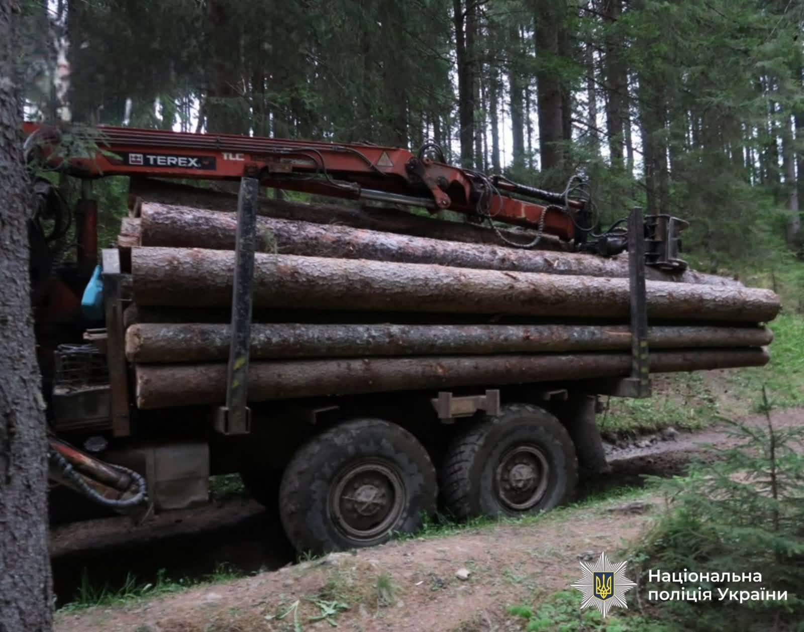 Двоє прикарпатців перевозили зрубану деревину із заповідних територій: їх судитимуть