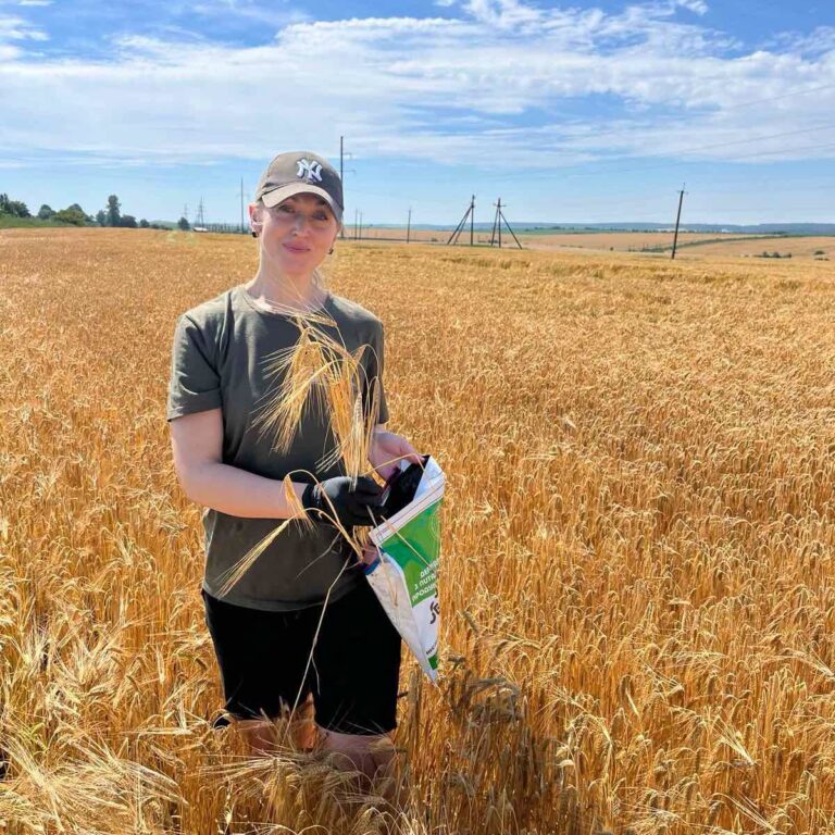 Прикарпаття планує експортувати до Китаю зерно зі 3 тисяч гектарів полів (ФОТО)
