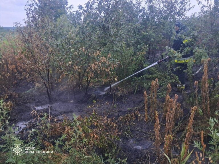 На Прикарпатті ліквідували майже всі пожежі в екосистемах, триває гасіння торфовища (ФОТО)