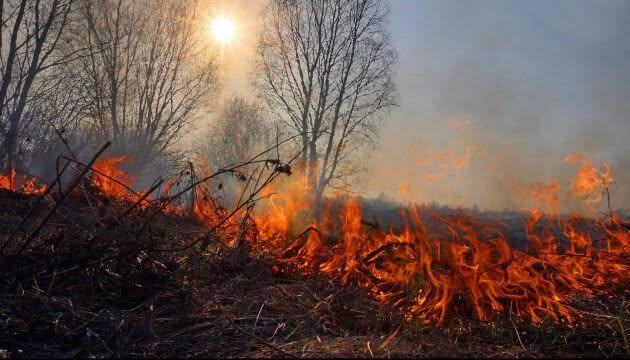 На Калущині через пожежі сухостою погіршилася якість повітря: територію обстежують дроном