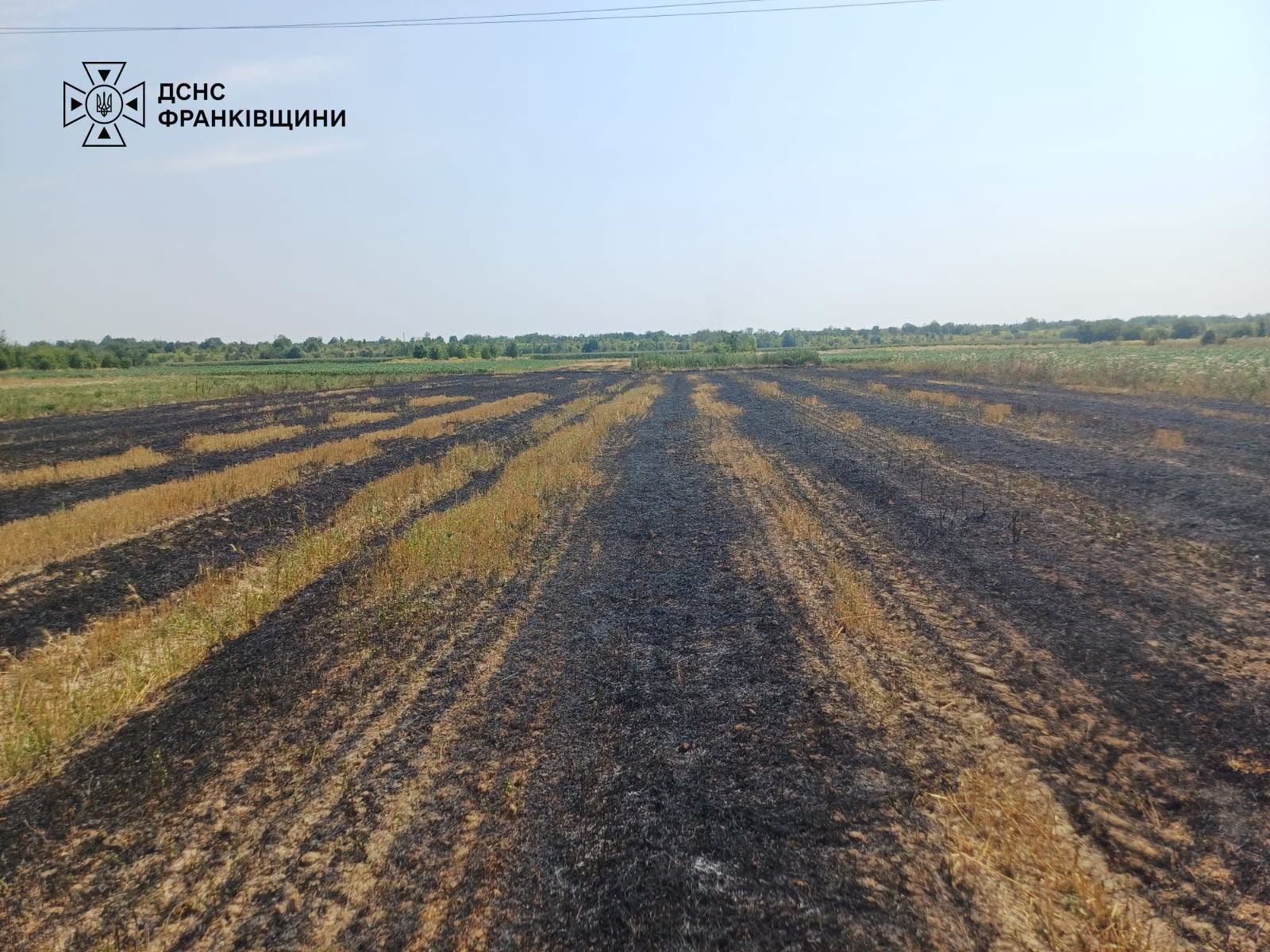 У Радчі знайшли тіло чоловіка під час гасіння вогню на полі