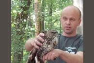 У Галицькому нацпарку випустили на волю реабілітованого канюка (ВІДЕО)