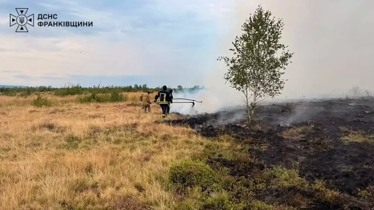 На Калущині горіли суха трава та чагарники: пожежу гасили понад шість годин (ФОТОФАКТ)