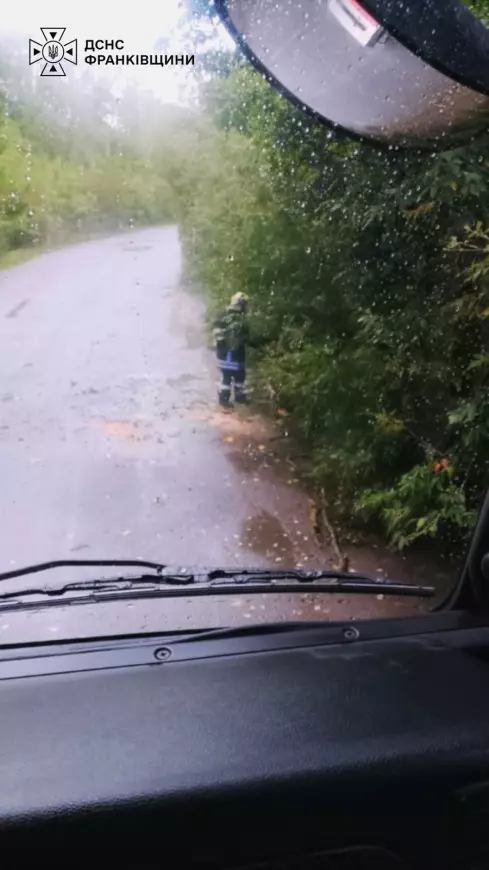 Через сильний вітер на Прикарпатті дерева падали на дороги: рятувальників викликали тричі (ФОТО)