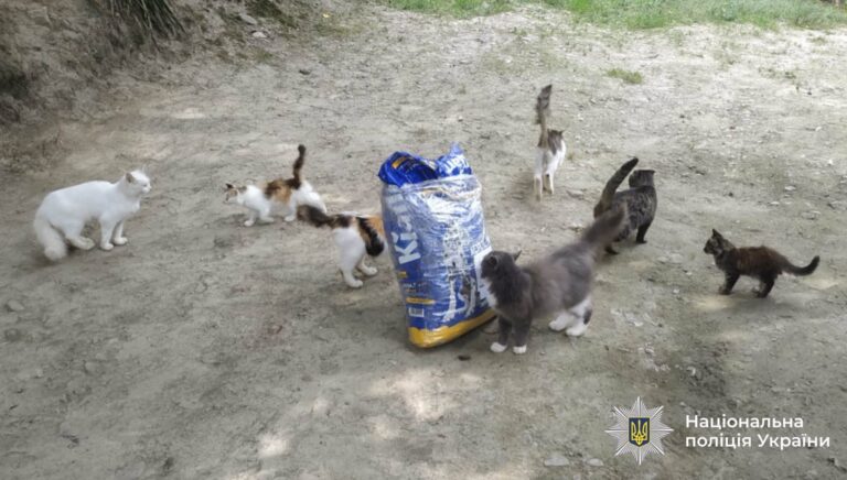Кіт у клітці та 13 тварин у дворі: на Косівщині поліція перевірила інформацію щодо утримання тварин у клітках (ФОТО)