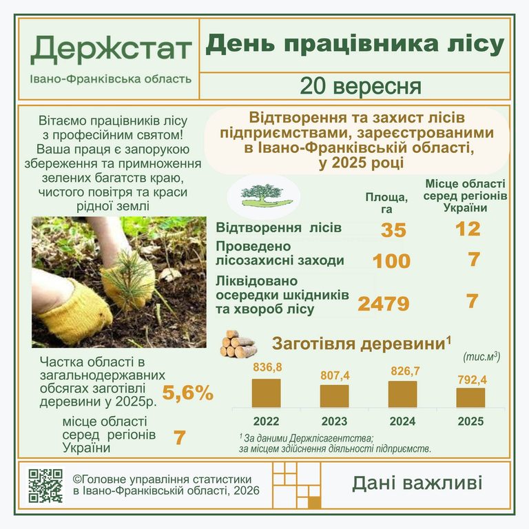 Прикарпаття – сьоме в Україні за часткою заготівлі деревини: скільки заготовили за рік