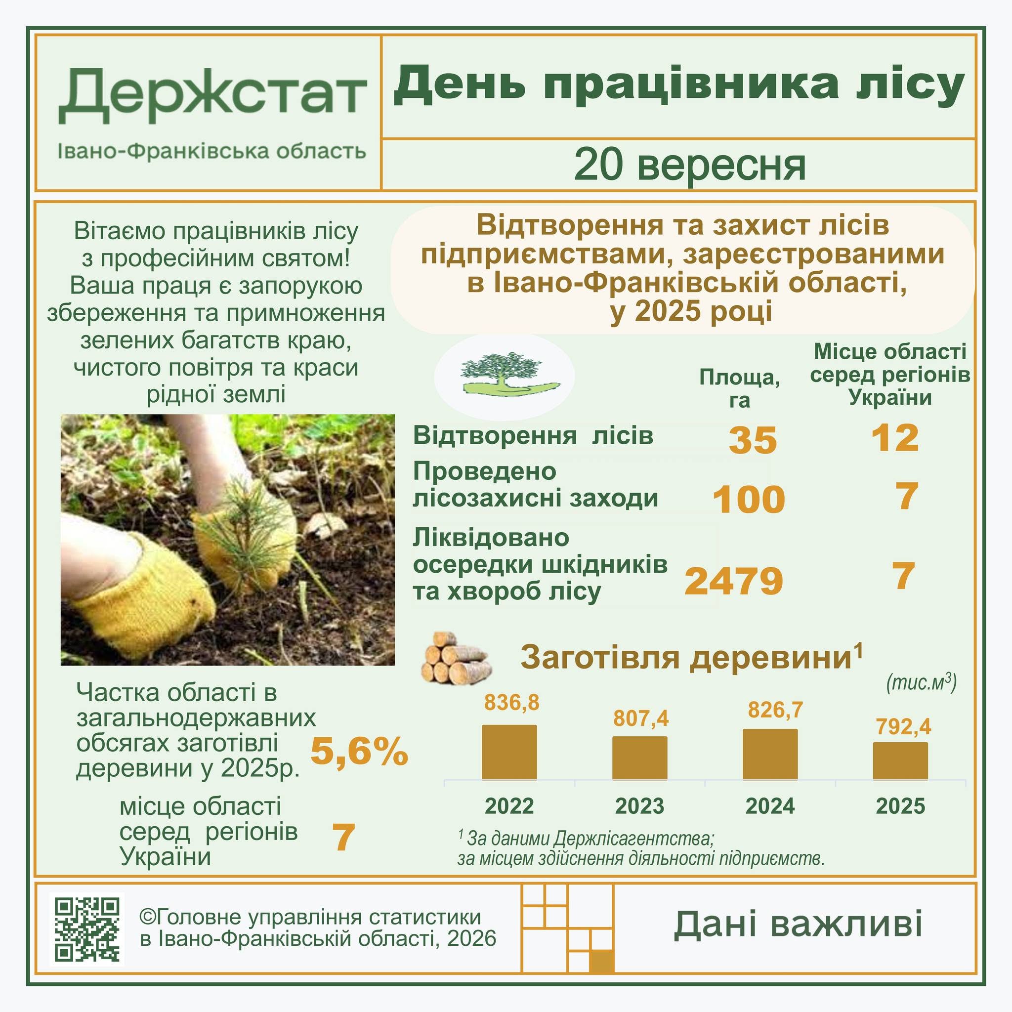 Прикарпаття – сьоме в Україні за часткою заготівлі деревини: скільки заготовили за рік