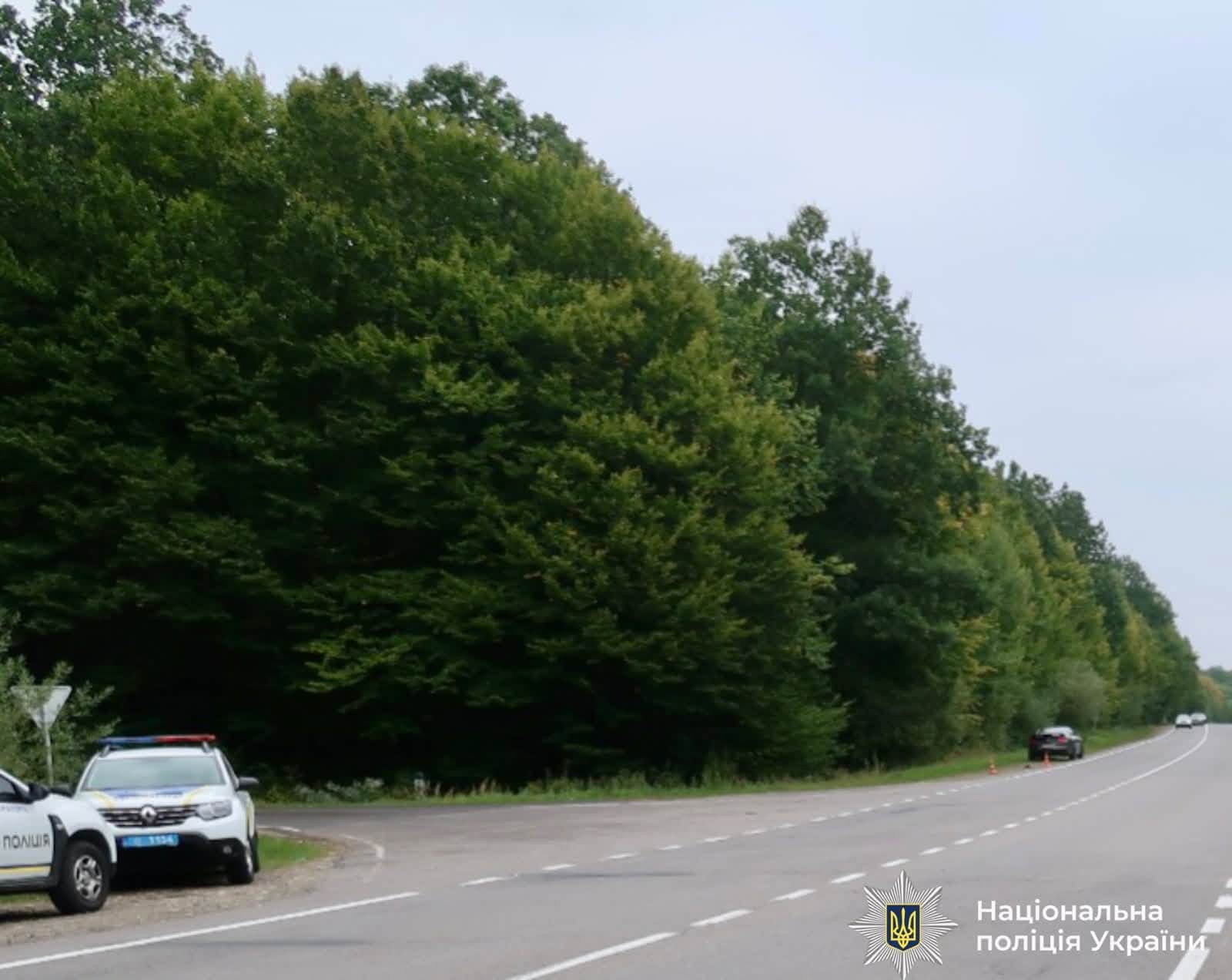 Ford Mustang збив жінку поблизу Рибного: потерпілу госпіталізували (ФОТО)