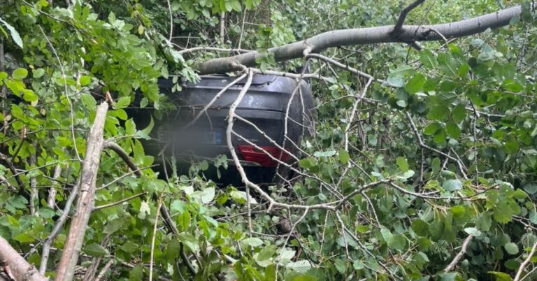 Біля Ямниці Opel з’їхав у кювет і перекинувся на дах: водій загинув (ФОТО)