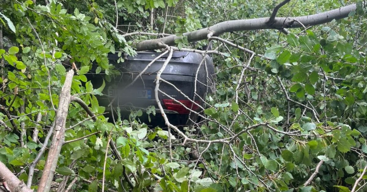 Біля Ямниці Opel з’їхав у кювет і перекинувся на дах: водій загинув (ФОТО)