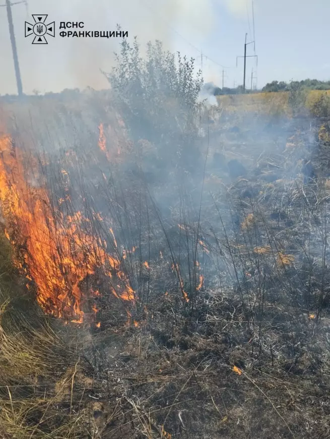 На Калущині 71-річна жінка отримала опіки під час пожежі сухої трави