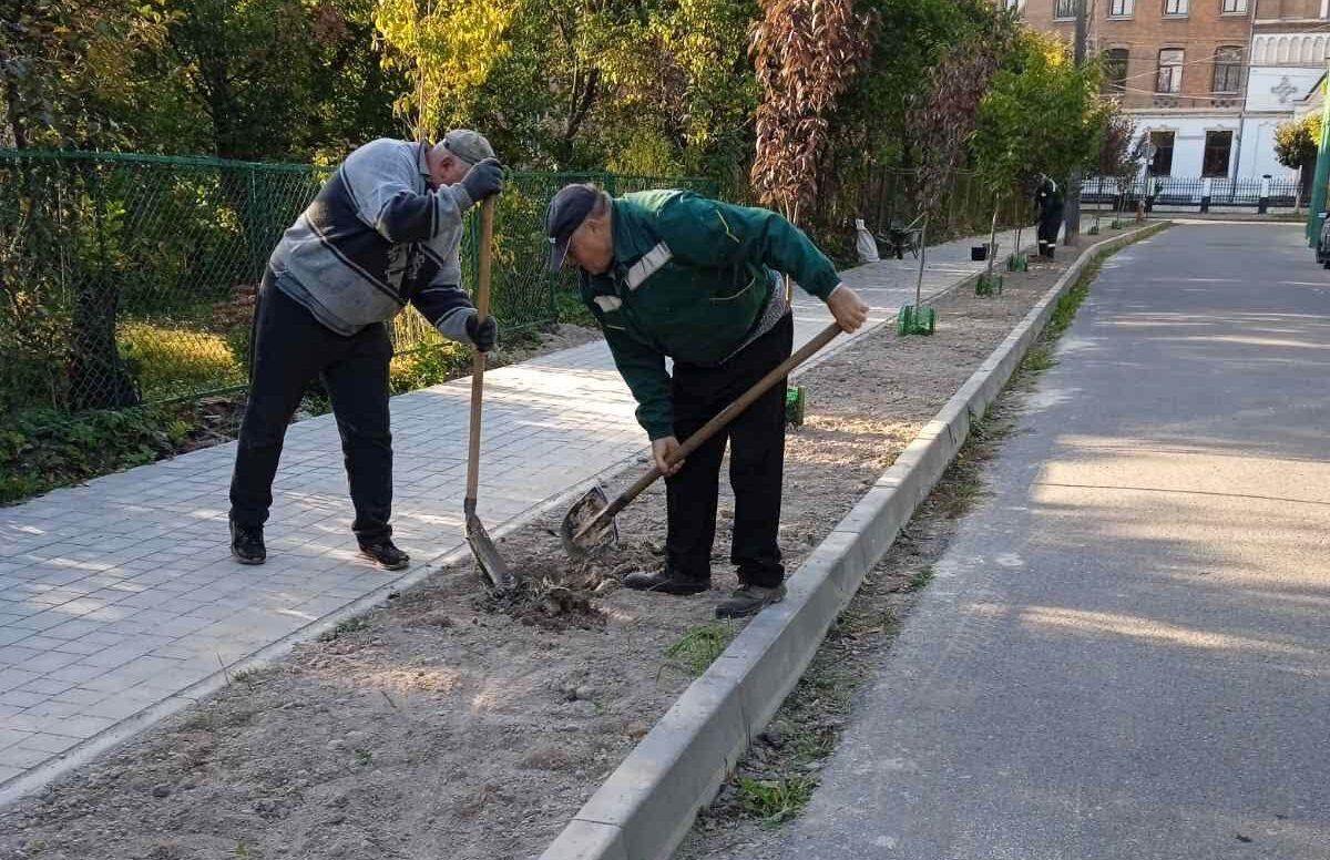 У Коломиї мешканці власним коштом придбали 20 сакур для озеленення вулиці (ФОТО)