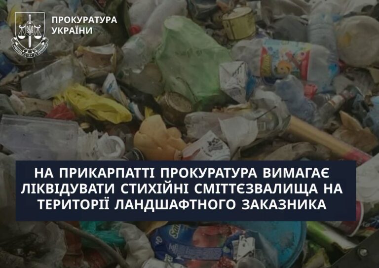 У Долині вимагають прибрати понад 200 кубометрів сміттєзвалища із заказника