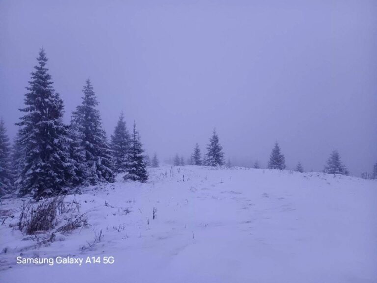 На високогір’ї Карпат сніжить: на Верховинщині зафіксували -1,5 °C (ФОТО)