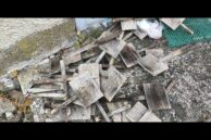 Зникла алея пам’яті у Тлумачі: чому прибрали пам’ятні дуби на честь полеглих Героїв та що з ними буде далі (ФОТО)