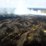 На Калущині у масштабній пожежі трави загинула жінка (ФОТО)
